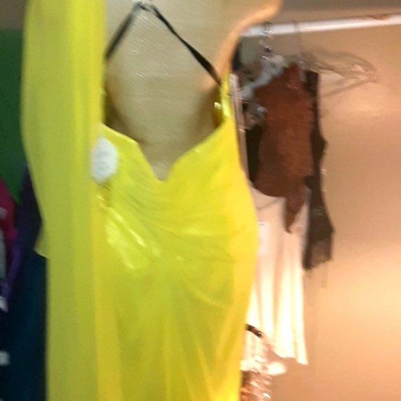 SOLD YESTERDAY Alyce paris PLUS SIZE DRESS - Picture 8 of 11